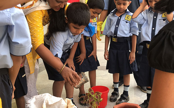 Coral Bells International School